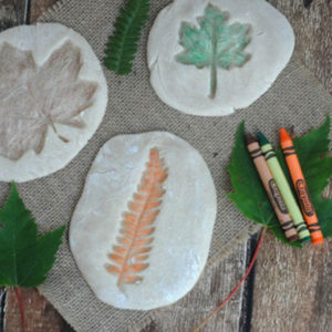 fossili di foglie realizzati con pasta di sale